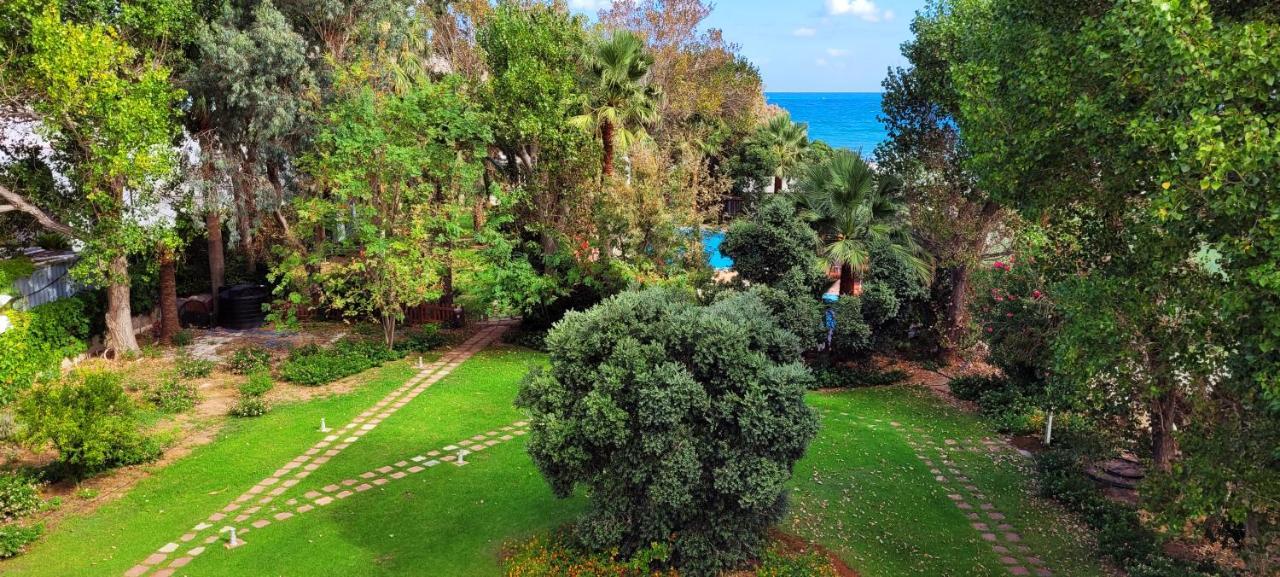 Marita's Lejlighedshotel Chania (Crete)